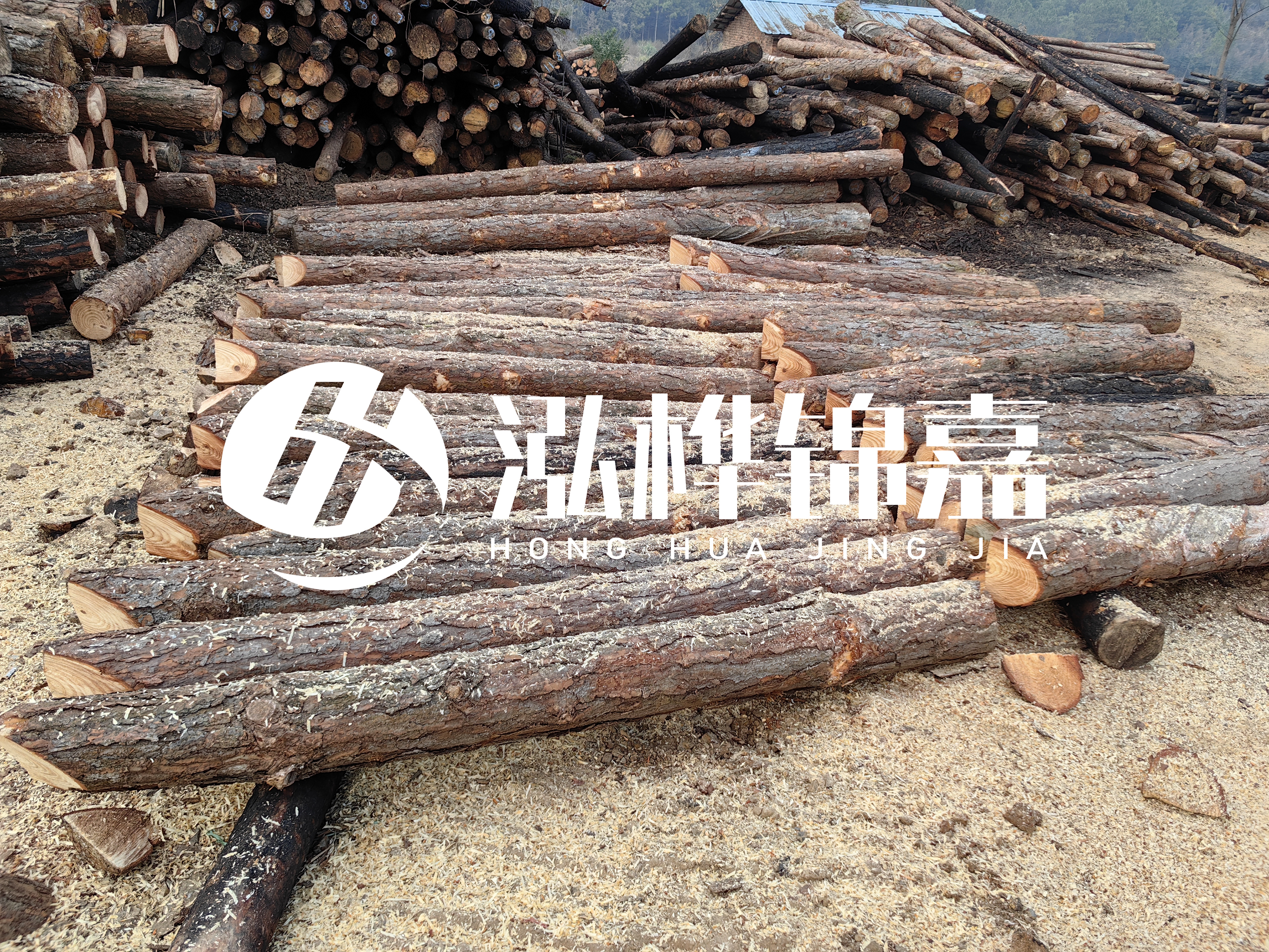 河道打樁木重復(fù)利用嗎？