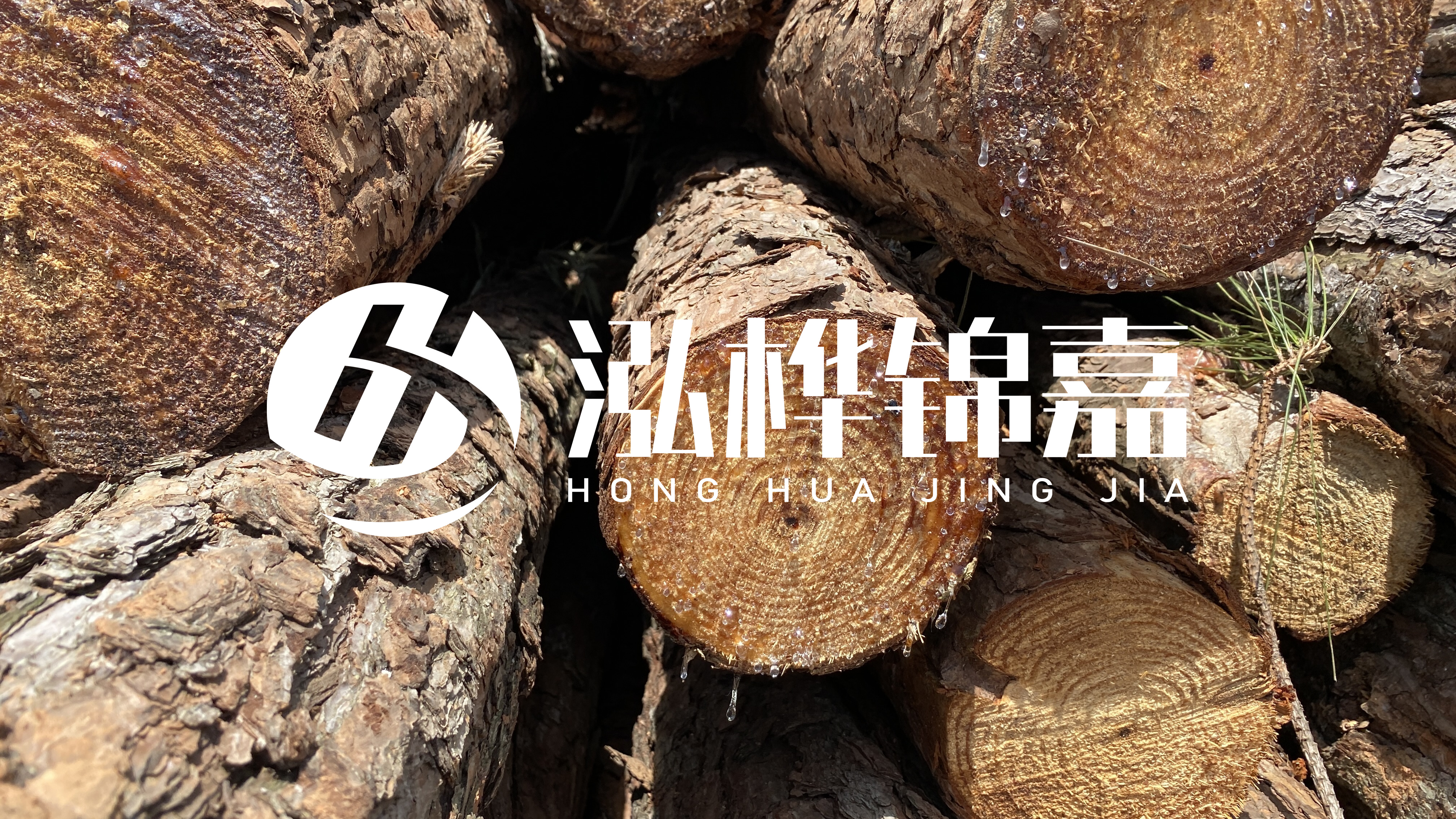 為什么要用松木樁治理河道？