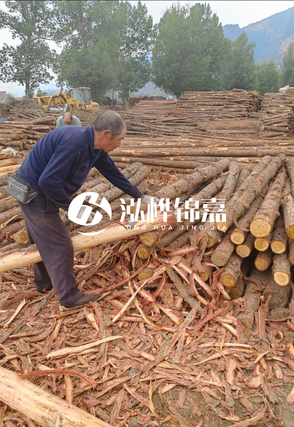 九江河底清理淤泥施工隊(duì)-河道清淤85元一方能干嗎？