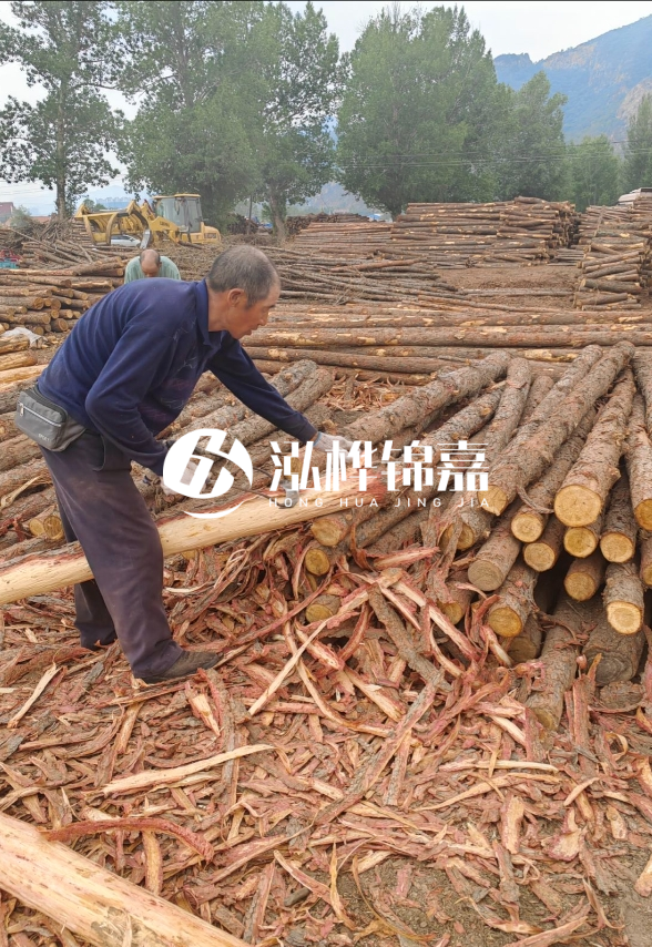 東營(yíng)河道清淤專業(yè)施工隊(duì)-不同型號(hào)挖機(jī)清淤能力對(duì)比？