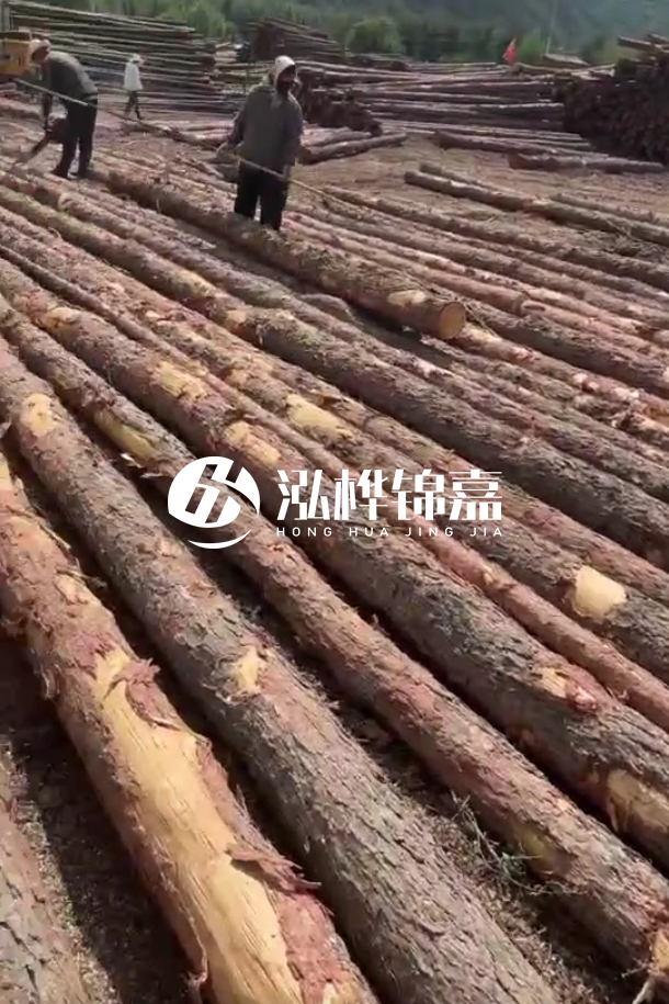 ?？谒赡緲对搭^廠家-松木樁最長(zhǎng)可以做多少米？