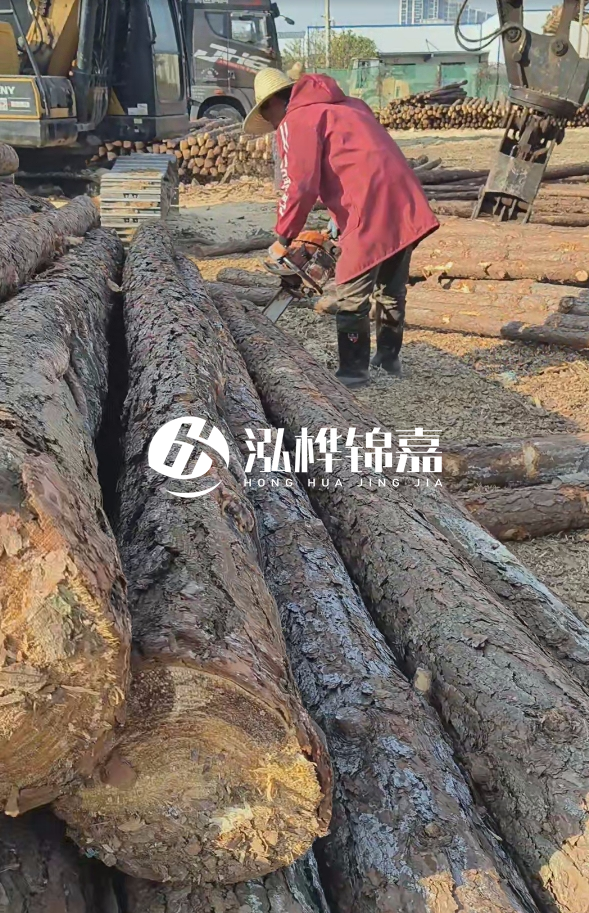長沙打樁木批發(fā)廠家在哪里？聯(lián)系方式是什么？