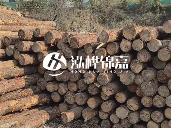 落葉松木材的主要產(chǎn)地在哪里？為什么比其他松木更耐腐蝕？