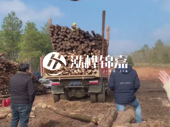 防腐木樁價格比普通木樁貴多少？防腐木樁有哪些處理方式？