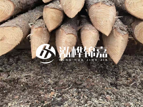 打樁木樁與鋼樁相比有哪些優(yōu)缺點？如何進(jìn)行后期維護(hù)？