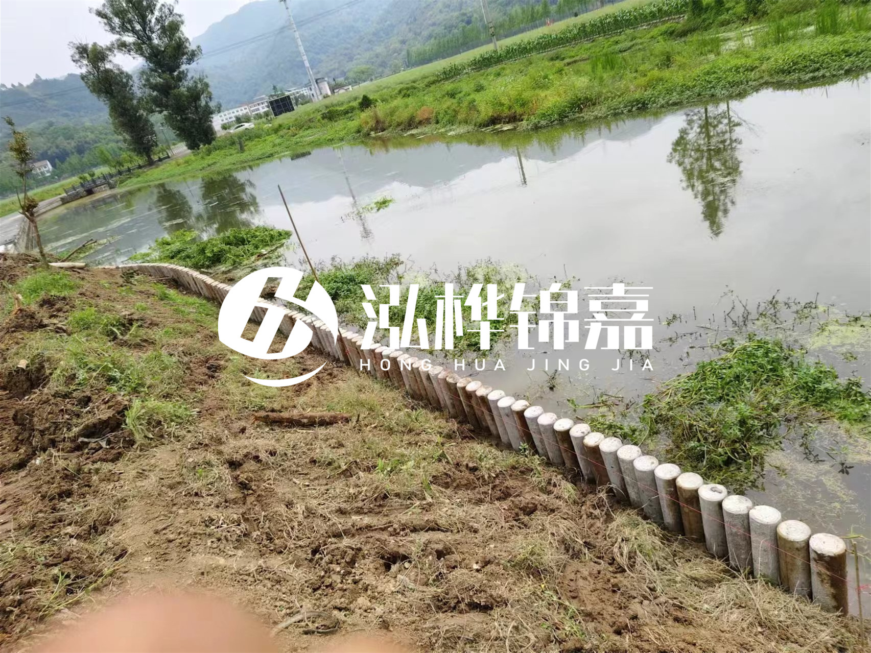 松木樁加固河道與水泥樁對比如何？哪一種更加適合您？