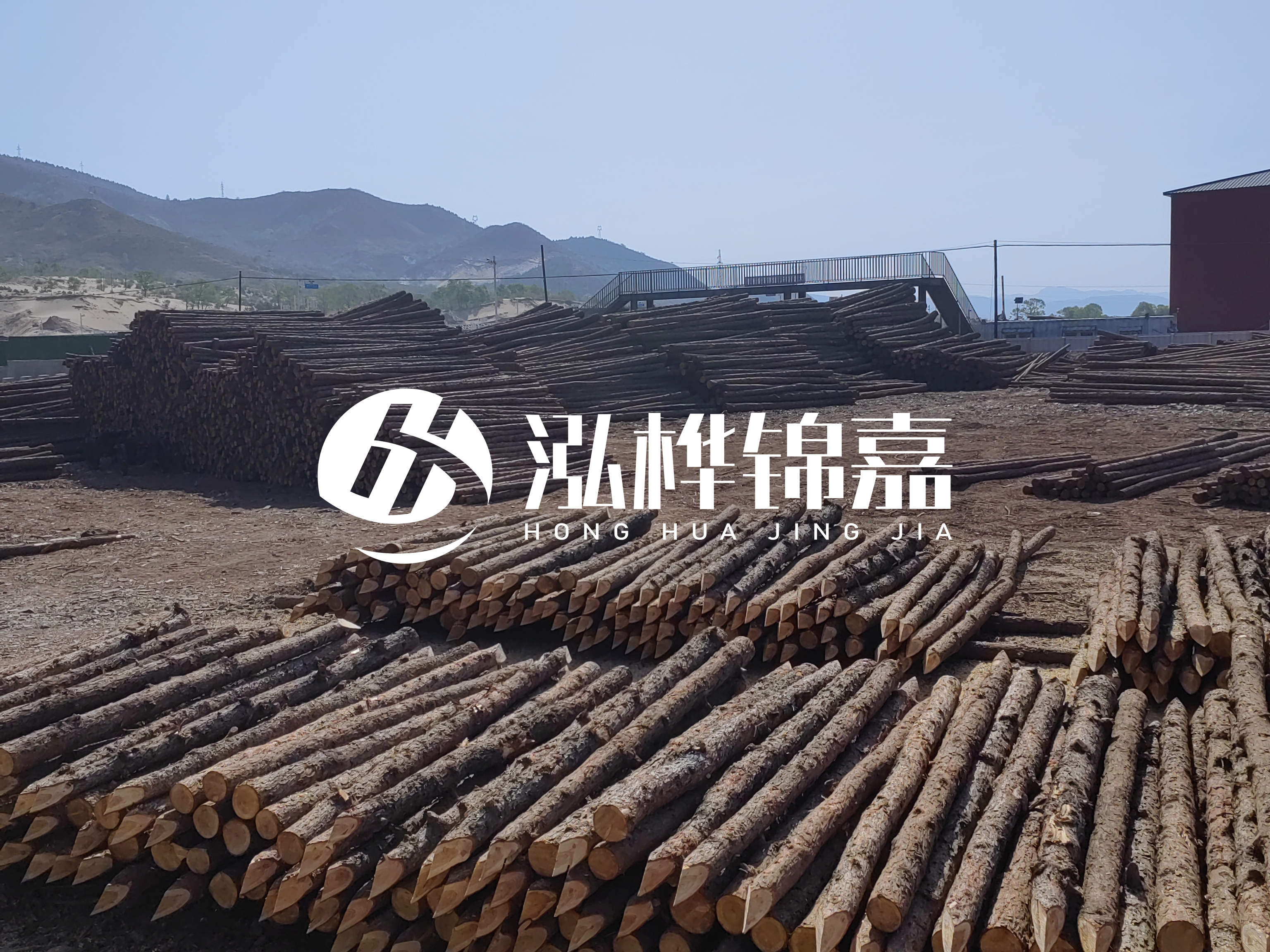 江蘇打樁木源頭廠家泓樺錦嘉-4米打樁木大頭14-16小頭一般多少？