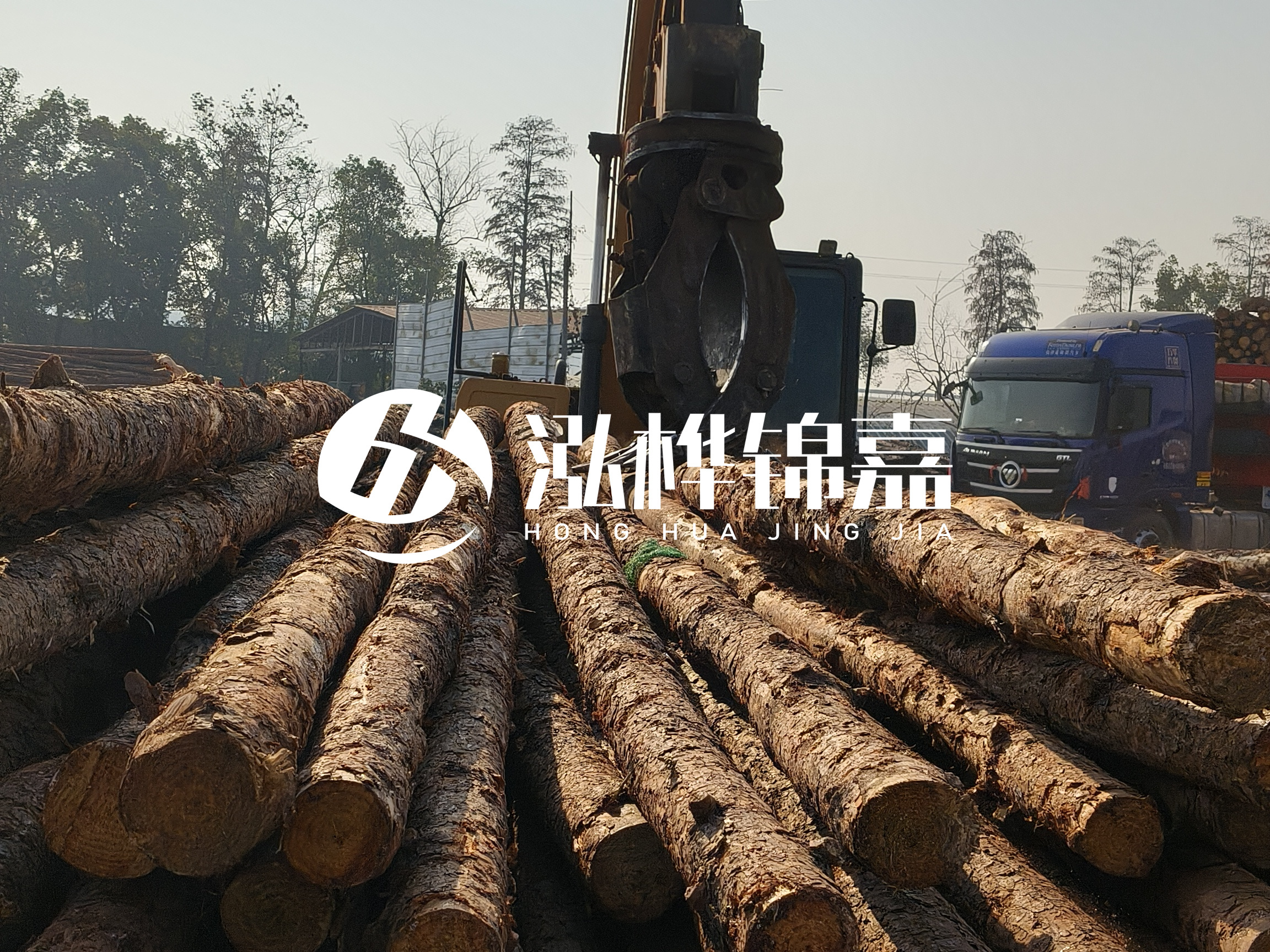 松木樁可以用來做什么？常用于哪些工程？