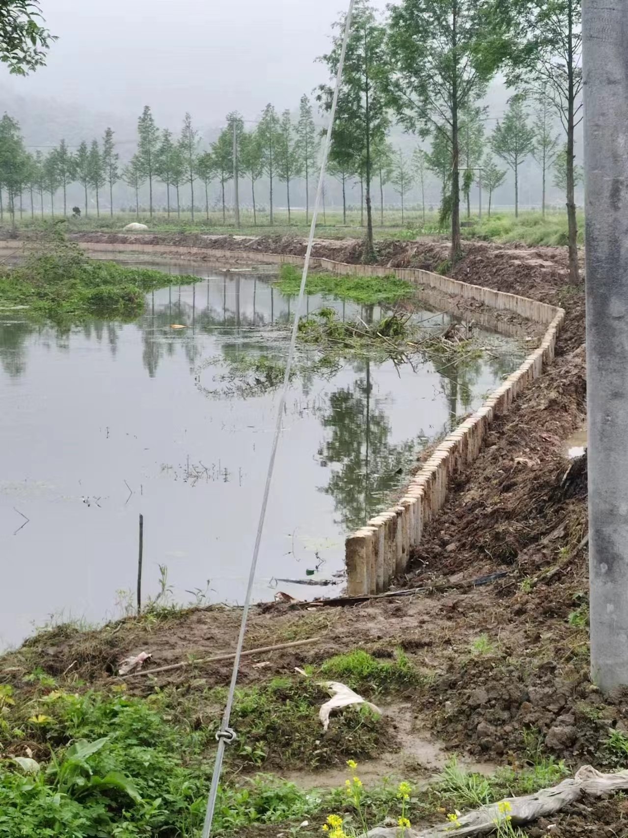 湖南水泥樁施工隊泓樺錦嘉-打水泥樁需要注意哪些事項？